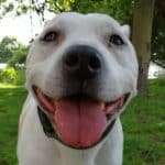 Testimonials Sammy&Mim Testimonials Sammy&Mim